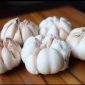 Gambar Bawang Puti potret (fb)