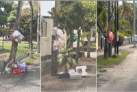 Pohon di Kecamatan Kota Tengah, Kota Gorontalo berubah jadi tempat pembuangan sampah. Rabu (18/2/2026). (Foto: Redaksi).